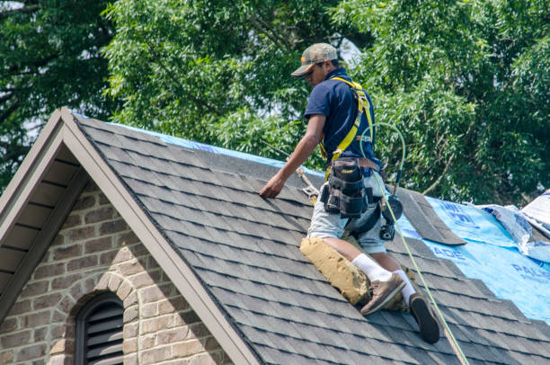 Best New Roof Installation  in Washburn, IL